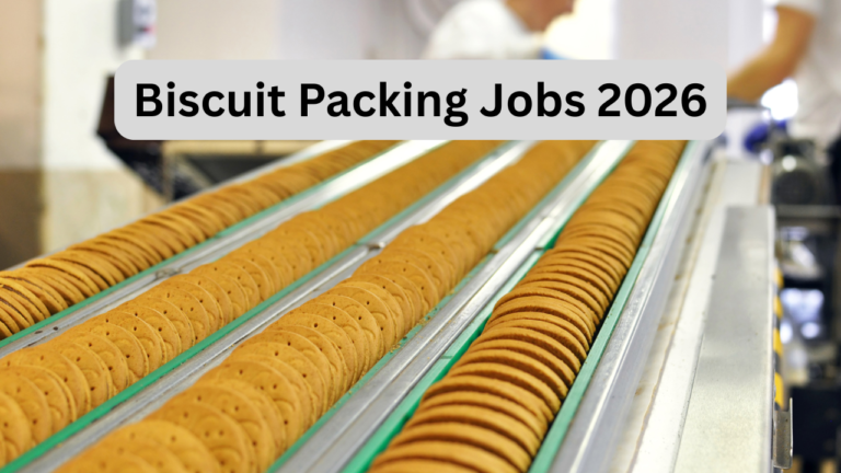 Biscuit Packing Jobs 2026