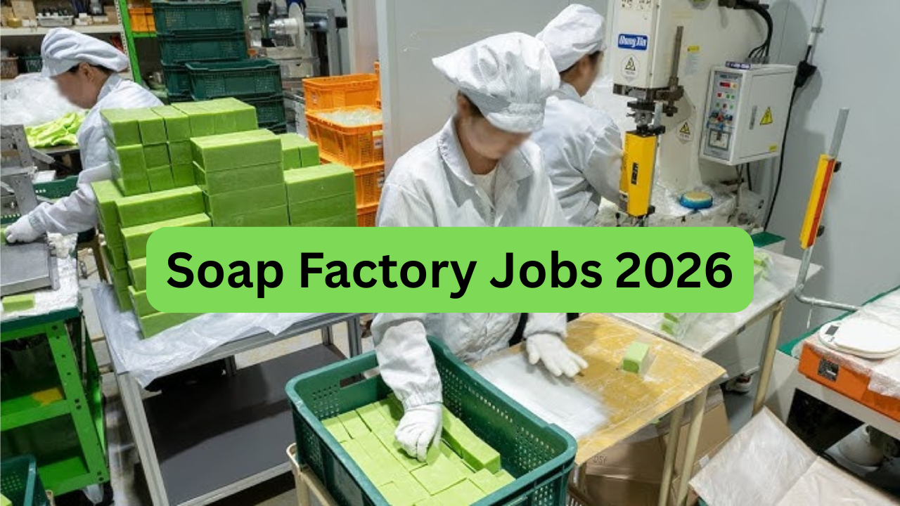 Papad Making Jobs 2026 – Complete Career Guide Papad Making Jobs 2026 – Complete Career Guide